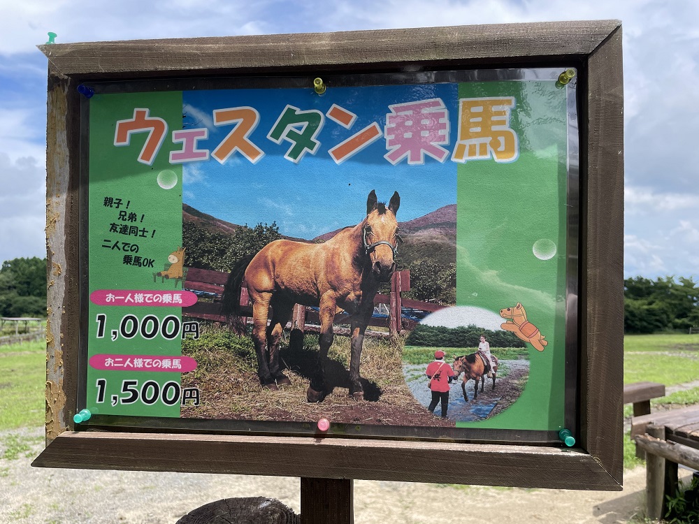 ウェスタン乗馬